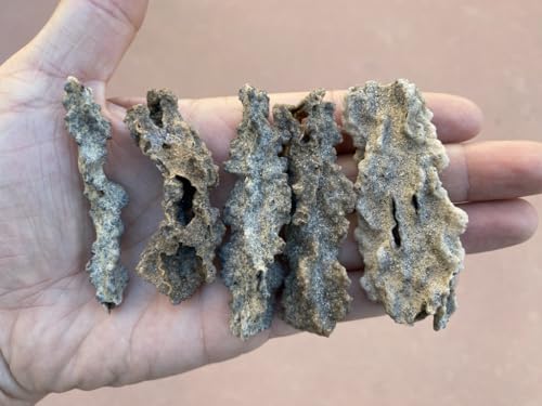 Starborn Fulgurite, XL 6-7 cm, 1 pièce – vue 5