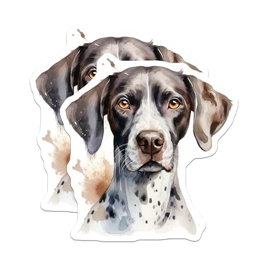 (2 Pack) German Shorthaired Pointer Magnets - GSP Dog Art Decor - Pet Lover Refrigerator Accessory - 5 Inches On Longest Side - Thick Durable Magnet - Made in USA - MAG32377