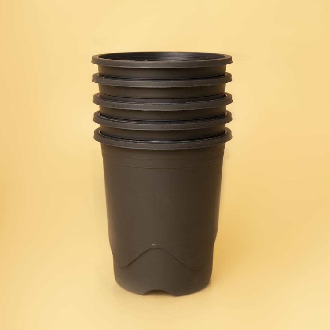 See full amazon price history chart for Tillage- Tall Black Nursery Plastic Pot(7.5 inch) for Cactus, Adenium Dha, Succulents,Terrace Gardening and Outdoor. (Pack of 5) Tillage- Tall Black Nursery Plastic Pot(7.5 inch) for Cactus, Adenium Dha, Succulents,Terrace Gardening and Outdoor. (Pack of 5) (B0D2BC17VK) Amazon Price History, Amazon Price Tracker