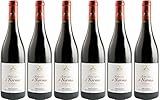 Cantine Valenti Norma Etna Rosso DOC 2020 Trocken (6 x 0.75 l)