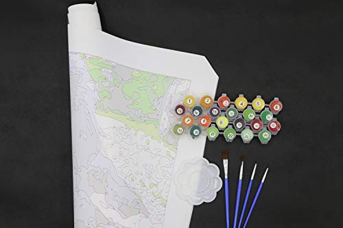 GVS-ART Custom Paint by Number with Frame for Adult, Frameless Rolled Canvas,Personalized Acrylic Paint,Custom Canvas DIY Oil Painting, Craft Paint,24X30