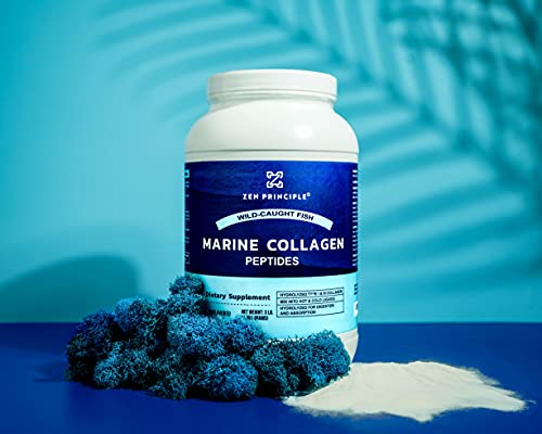 Extra Large 3 Lb. Marine Collagen Peptides Powder. Wild-Caught Fish, Non-Gmo. Supports Healthy Skin, Hair, Joints And Bones. Hydrolyzed Type 1 & 3 Protein. Amino Acids, Unflavored, Easy To Mix. #TOP4
