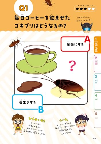 Amazon.co.jp: おーちゃん: 本、バイオグラフィー、最新アップデート