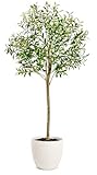 edihome, Planta Artificial Grande, Olivo 150 cm – Decorativas, Árbol, Decoración Hogar, para Interior, Oficina, Hoteles, Eventos, Planta Artificial Realista con Detalles Mediterráneos (Olivo, 150)
