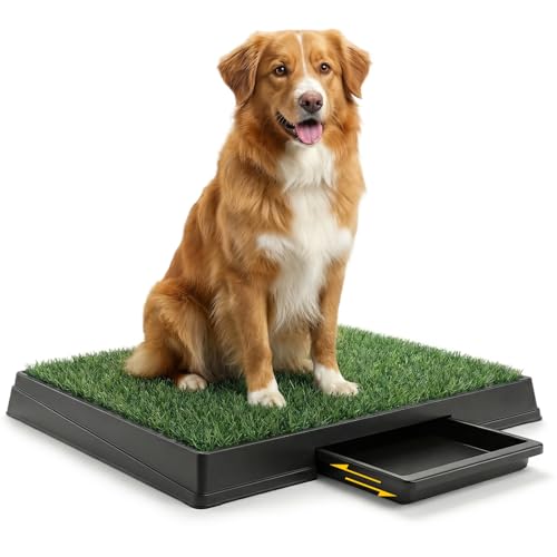 DUMOS Dog Grass Pad with Tray, 25