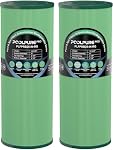 POOLPURE – POOLPURE PRB25-IN Antimikrobielle Whirlpool-Filter, 2er-Set