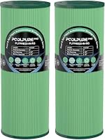 POOLPURE – POOLPURE PRB25-IN Antimikrobielle Whirlpool-Filter, 2er-Set