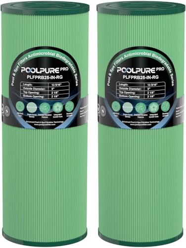 POOLPURE PRB25-IN Antimikrobielle Whirlpool-Filter, 2er-Set