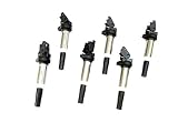 NEW! 6 Pack Ignition Coil for BMW Models with Delphi Version Coil 12138616153