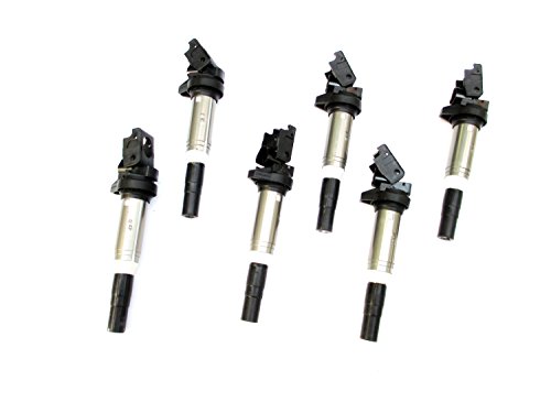 New! 6 Pack Ignition Coil For Bmw Models With Delphi Version Coil 12138616153 #TOP5