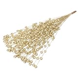 Baies pour loisirs créatifs : des branches de baies artificielles apportent une touche naturelle et fraîche à votre intérieur, le rendant plus délicat et élégant