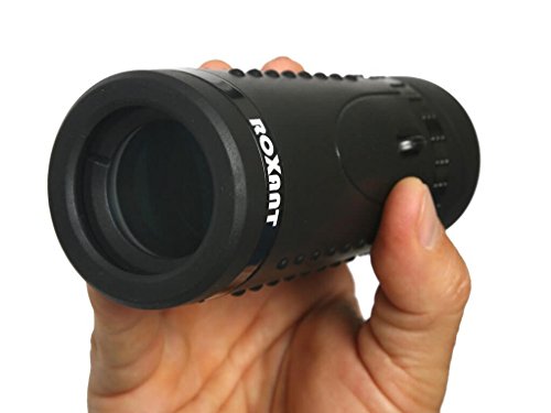 https://m.media-amazon.com/images/I/41o67mzUzXL._SL500_.jpg