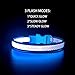 Domagiker LED Dog Collar Rechargeable - Waterproof Light Up Dog Collars, Adjustable Glow in The Dark Pet Collar, Safety Dog Lights for Night Walking (Medium, Blue)