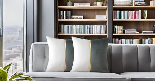 Image of HIMS Velvet Sofa Pillow Cover Set of 2, Luxury Cushion Cover 22 inch x 22 inch for Decorative Living Room Sofa Bedroom Car (22x22 Inch, Gray)
