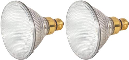 Satco 80 watts PAR38 Halogen Bulb 1600 lumens Medium Skirted Warm White 2 pk Floodlight