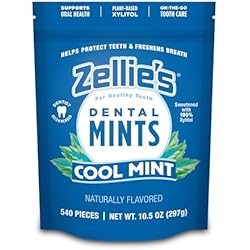 minto♡ Amazon.com : Zellie's | 100% Xylitol Breath Mints Combo Pack | No