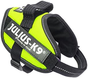 Julius-K9, 16IDC-B-M, IDC Powerharness, dog harness, Size: S/Mini, Blue