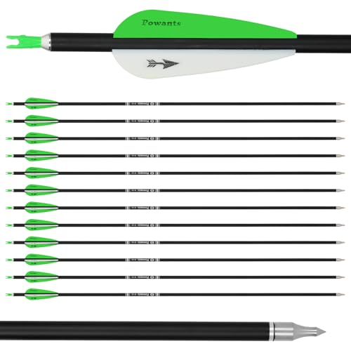 Powants 31inch Carbon Arrow Archery Targeting Practice Hunting Arrows for Compound & Recurve Bow with Removable Tips(Pack of 12) (Green)