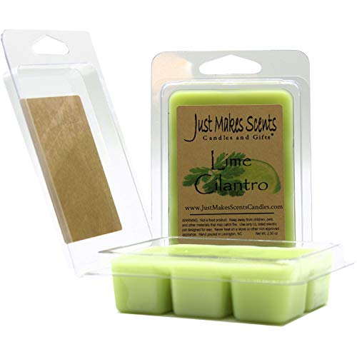 Lime & Cilantro Scented Wax Melts 2-Pack