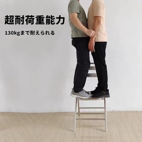 CokBlu折りたたみチェア パイプ ステンレス製 軽量 会議 アウトドアチェア 背もたれ付き 通気性 省スペース収納 オフィスチェア イベント用 来客用 玄関 持ち運び簡単 (44*55*87cm,210ステンレス鋼) [3]