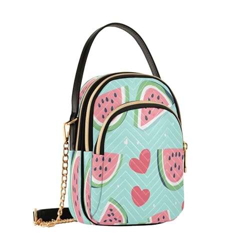 Cute Watermelon Shoulder Bags for Women Retro Classic Handbag Purse Small Purses with Chain2