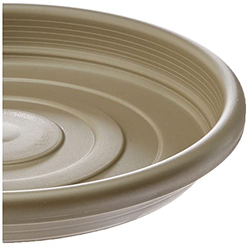 Prato para Vaso Jardim, Primafer, Concreto