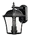 Hinkley 1334MB-LED Medium Wall Outdoor, Museum Black Finish with Clear Beveled Frosted Glass