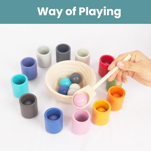 WOODENFUN Rainbow Balls in Cups Toddler Montessori Toys for 1 Year Old Up, Kids Preschool Wooden Matching Games for Learning Color Sorting and Counting