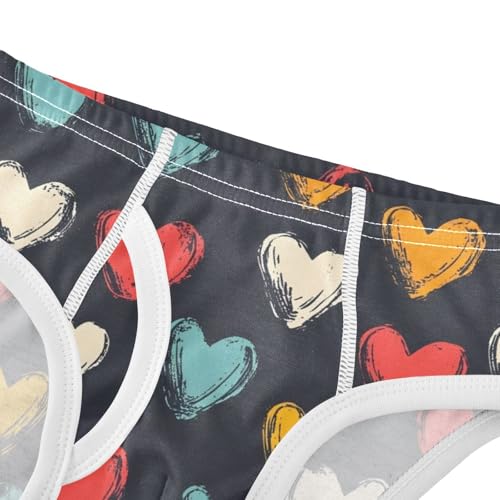 Colorful Heart Valentine Toddler Boy's Underwear 2T 202c00964