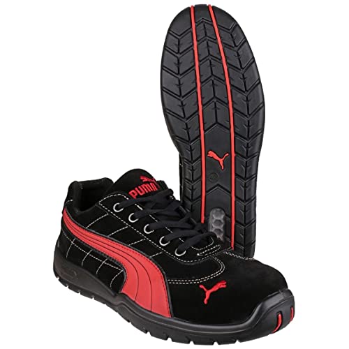 Puma ----