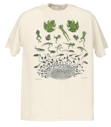 Liberty Graphics Men's Frog Metamorphosis T-Shirt Large Natural