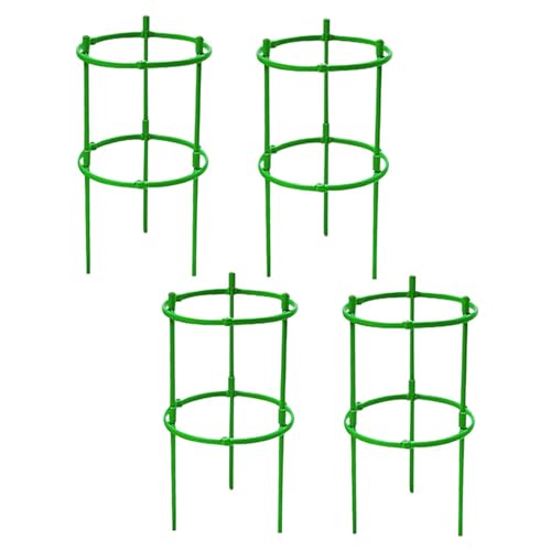 TOBBOMEY \ŉ\ȐAxg}gp^P[W K[fgX OApNC~OAT|[g 