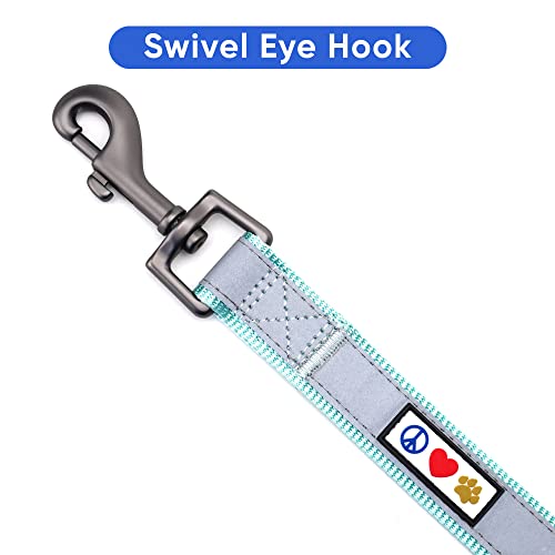 Pawtitas 6 Ft Padded Dog Leash With Comfortable Neoprene Padding Handle - Teal Lead | Small Reflective Dog Leash With Highly Reflective Band Perfect For Extra Small And Small Dogs And Puppies. #TOP4