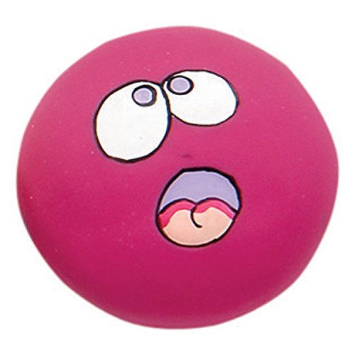 Zanies Latex Toy Prepack Sm 6 Pieces #TOP6