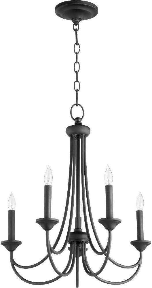 Quorum 6250-5-69 Transitional Five Light Chandelier from Brooks collection in Bronze/Dark finish,