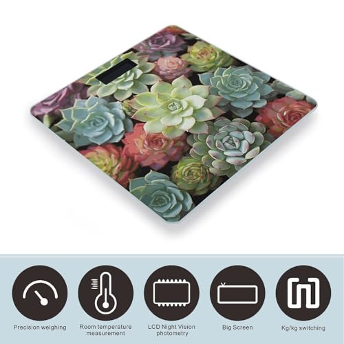 Báscula Digital Green Succulents de Vidrio Templado miniatura 3