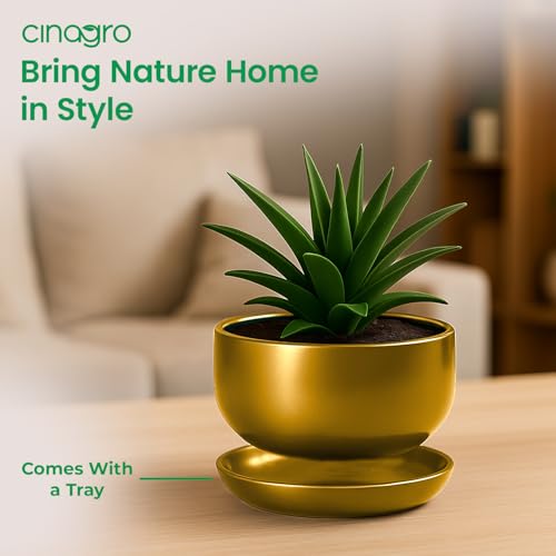 Image of CINAGRO Metal Planter Pot for Indoor Plants, Round Decorative Flower Pot, Rust-Resistant, Modern Plant Holder for Home, Balcony, Office (13.97 x 7.62 cm, Pulse Nest - Gold)