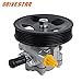 DRIVESTAR 21-5450 Power Steering Pump, fit 2004-2006 for Nissan Altima/Sentra, 2.5L