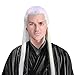 Men Wudang Priest Wig Asian Ancient Chinese Costume Accessory Halloween Hairpiece Long White Straight Hair (White)