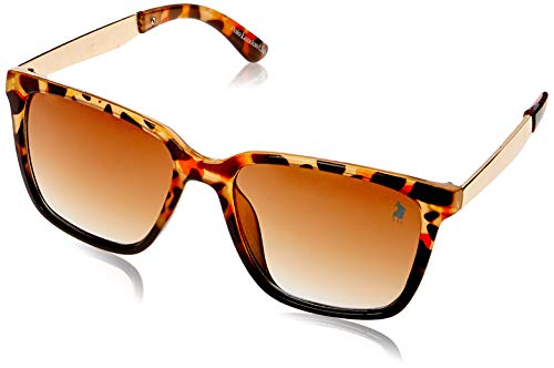 Óculos de sol Óculos Solar Polo London Club, Polo London Club, Feminino, marrom, Único