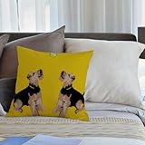 【Decorazione di più scene】 L'aspetto squisito e la fodera del cuscino dal design ingegnoso possono fornire a tuo amica un comodo angolo di riposo, molto adatto per camera da letto, divano, soggiorno, letto, decorazione dell'auto, ecc. Quando tuo amica sta riposando, usalo Crea un russare angolo per amici con il nostro cuscino da lancio!