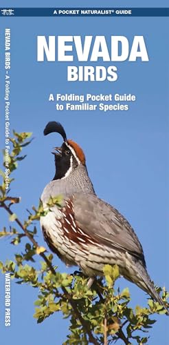 Nevada Birds: A Folding Pocket Guide to Familiar Species (Nature Observation North America) Nevada Birds: A Folding Pocket Guide to Familiar Species (Nature Observation North America)