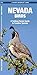 Nevada Birds: A Folding Pocket Guide to Familiar Species (Wildlife and Nature Identification)