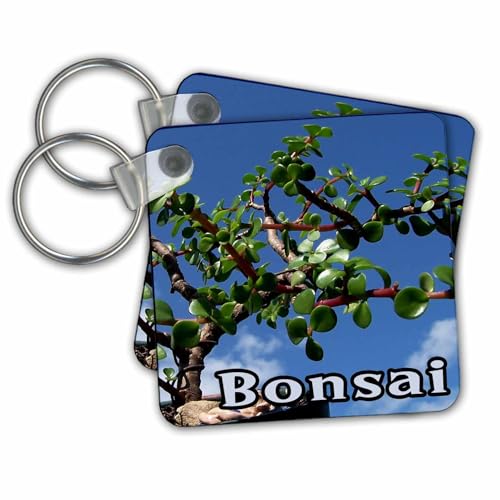 3dRose Key Chains Bonsai w text photograph portulacaria afra tree 1 (kc-182078-2)