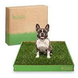 DoggieLawn Real Grass Puppy Pee Pads- 24 x 24 Inches - Perfect Indoor Litter Box for Dogs - No Mess, Easy-to-Use - Potty Training for Pets - Disposable Bathroom with Real Living Grass