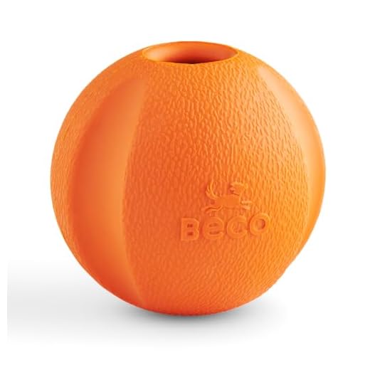 Beco Dog Toy - Natural Rubber Ball for Fetch