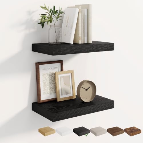 Dreamland 16 Inches Wall Mounted Wood Floating Shelves, Black, 2 Pack
