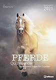  Stefan Heine Pferde Quizkalender 2021 Wochenkalender - Quizkalender - Rätselkalender - Jede-Woche-neue-Rätsel - Tierkalender - 23,7x34