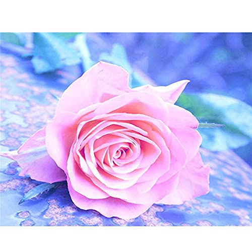 Yomiie 5D Diamond Painting Planet Universe Full Drill by Number Kits, Solar System Space Stars DIY Paint with Diamonds Art Rhinestone Embroidery Craft for Home Room Decoration (12x16inch, 2 Pack)