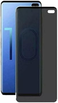 PSR accessory Fully Coated Ghost Matte Ceramic Fingerprint No Screen Protector Compatible with Samsung Galaxy S10 Plus